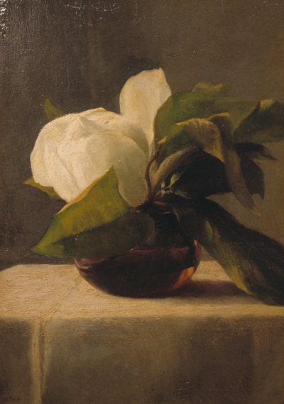 Magnolia - John La Farge or Lafarge